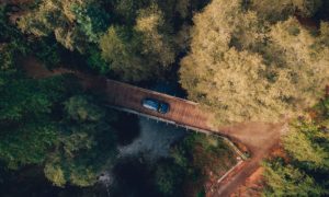 Auto auf Brücke in Natur