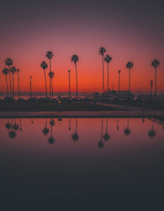 Kalifornien Sonnenuntergang Palme