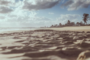 California Beach 300x200 - California Beach