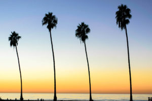 california2 300x200 - california2